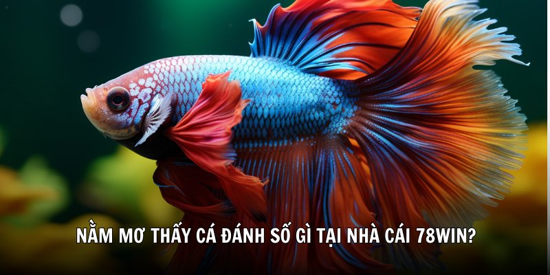 Nằm mơ thấy cá đánh số gì tại nhà cái 78Win?